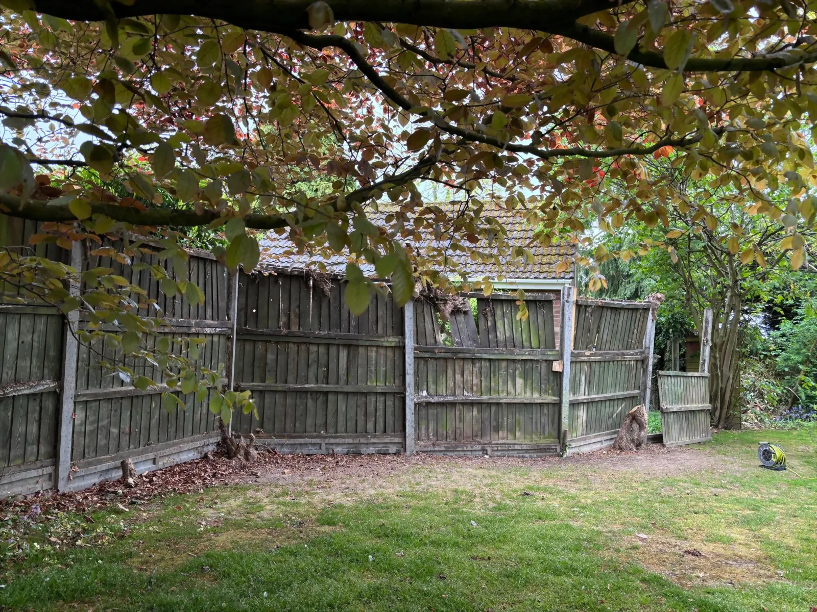 Garden clearance and preparation before fencing work in Norwich