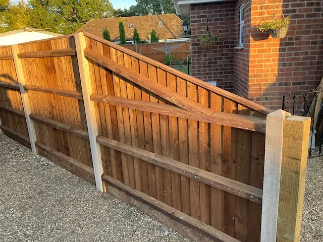 Dog and Deer Fencing in Norwich by Standfast Fencing